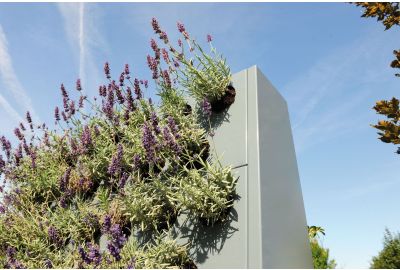 Plantenwand Eva: De Perfecte Oplossing voor Groene Vlakken in Kleine Ruimtes