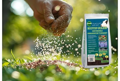 Ecotop Solide: De Perfecte Meststof voor een Gezonde Tuin