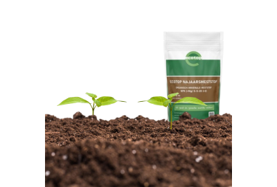 Geef je tuin een najaarsboost met Ecotop Najaarsmeststof