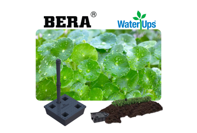 Innovatie in Waterbesparing: BERA WaterUps® Zelfwaterende Systemen