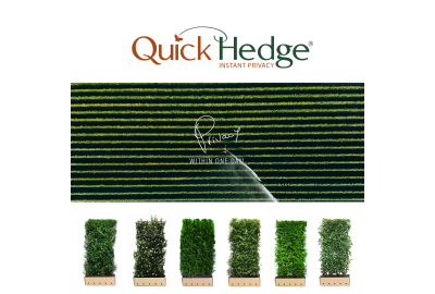 QuickHedge: De Slimme Keuze voor Tuinaanleg en Privacy
