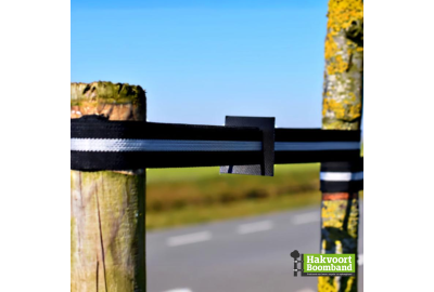 Sterke ondersteuning voor gezonde groei