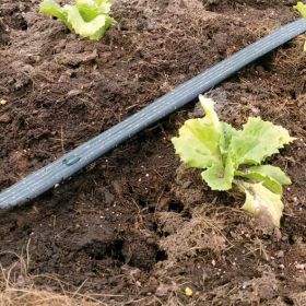 Agro druppeltape 16 mm, afstand 200 mm