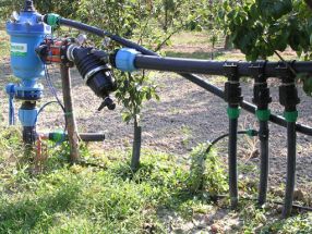 Tyleenslang, LDPE drukbuis 25 x 2,7 mm, L =100 meter